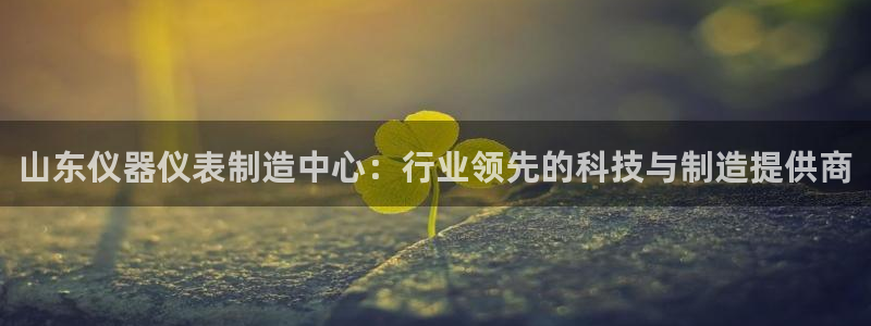 恒行娱乐景74ooo5诿抢：山东仪器仪表制造中心：行业领先的