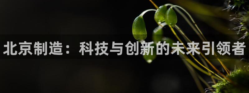 恒行2沈74OOO5：北京制造：科技与创新的未来引领者