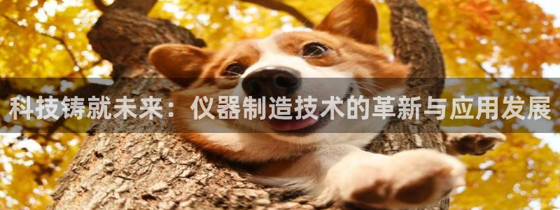 恒行登录老大6ll5l典型：科技铸就未来：仪器制造技术的革新