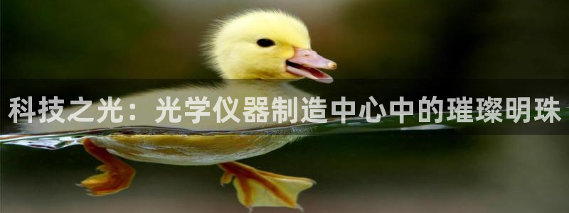 恒行2沈74OOO5：科技之光：光学仪器制造中心中的璀璨明珠