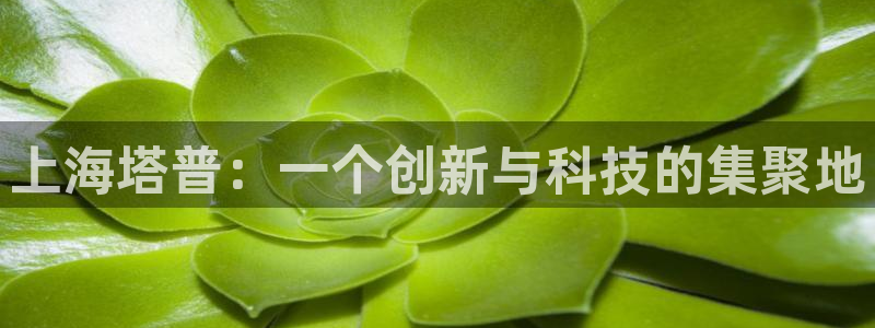 恒行2周74OOO5：上海塔普：一个创新与科技的集聚地