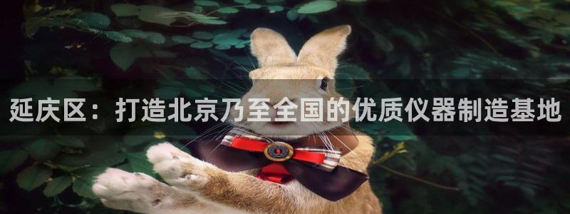 恒行开户娱乐6ll5l特惠：延庆区：打造北京乃至全国的优质仪