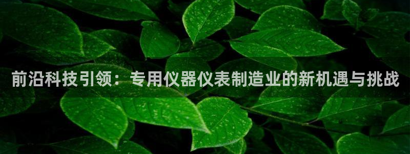 恒行2冯74OOO5：前沿科技引领：专用仪器仪表制造业的新机