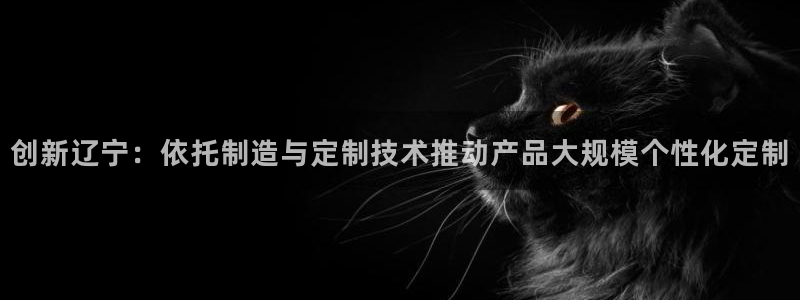 恒行娱乐5ll533主管优雅：创新辽宁：依托制造与定制技术推