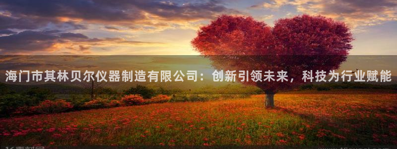 恒行2王74OOO5：海门市其林贝尔仪器制造有限公司：创新引