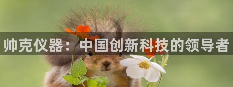 恒行娱乐度74ooo5聘霖：帅克仪器：中国创新科技的领导者